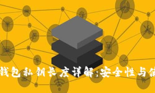 以太坊钱包私钥长度详解:安全性与使用指南