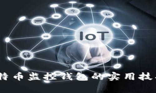 深度解析:比特币监控钱包的实用技巧与安全策略