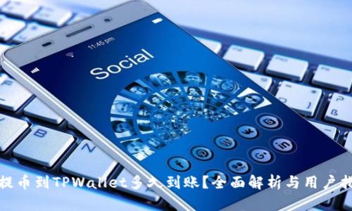 : 提币到TPWallet多久到账?全面解析与用户指南