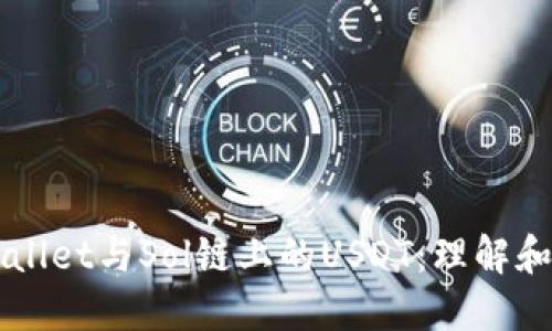 TPWallet与Sol链上的USDT:理解和应用