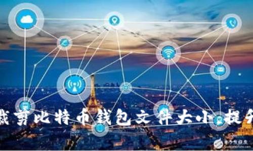 如何有效裁剪比特币钱包文件大小,提升使用体验