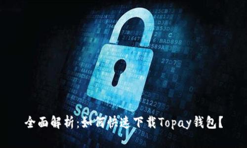 全面解析:如何快速下载Topay钱包?