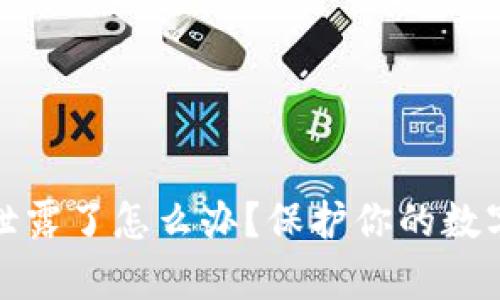 tpwallet助记词泄露了怎么办?保护你的数字资产的最佳策略