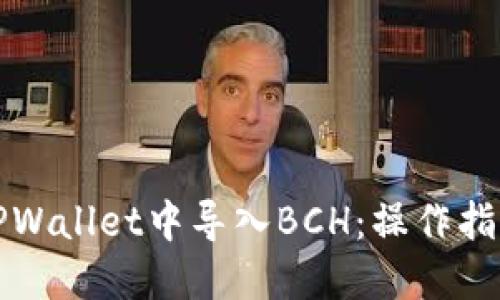 如何在TPWallet中导入BCH：操作指南与技巧