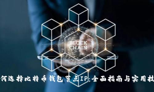 如何选择比特币钱包节点IP:全面指南与实用技巧