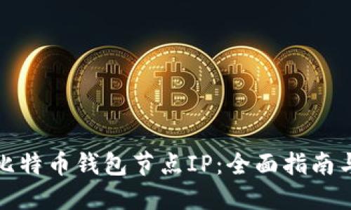 如何选择比特币钱包节点IP:全面指南与实用技巧