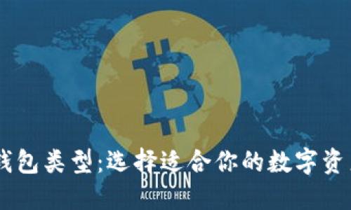 揭秘USDT钱包类型：选择适合你的数字资产保护方案