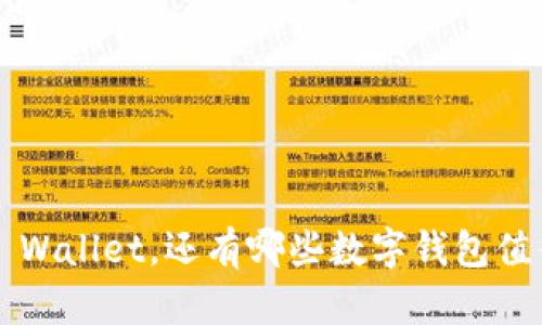 除了TP Wallet,还有哪些数字钱包值得关注?