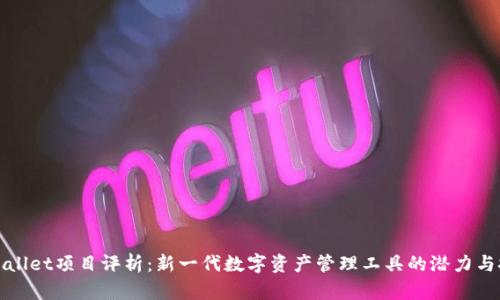 TPWallet项目评析：新一代数字资产管理工具的潜力与挑战