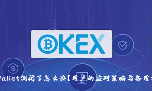 TPWallet倒闭了怎么办？用户的应对策略与备用方案