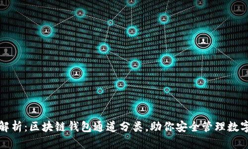 全面解析：区块链钱包通道分类，助你安全管理数字资产