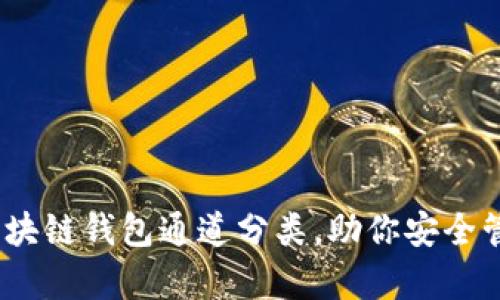 全面解析：区块链钱包通道分类，助你安全管理数字资产