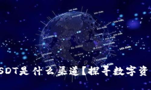 TP钱包中的USDT是什么渠道?探寻数字资产的流通密钥