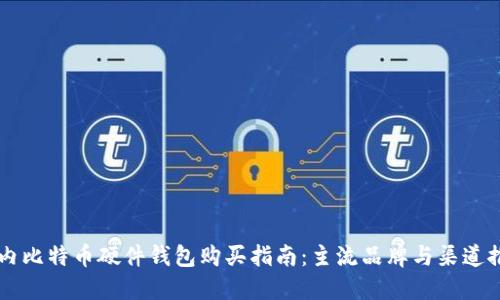 国内比特币硬件钱包购买指南:主流品牌与渠道推荐