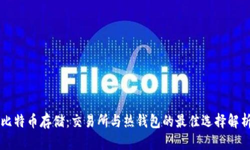 比特币存储:交易所与热钱包的最佳选择解析
