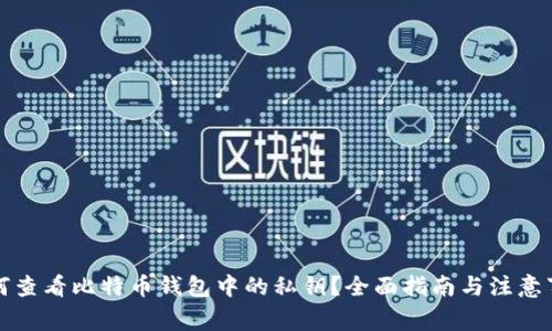 如何查看比特币钱包中的私钥?全面指南与注意事项