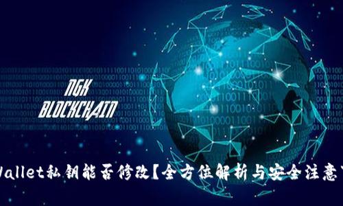 TPWallet私钥能否修改?全方位解析与安全注意事项