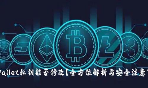 TPWallet私钥能否修改?全方位解析与安全注意事项