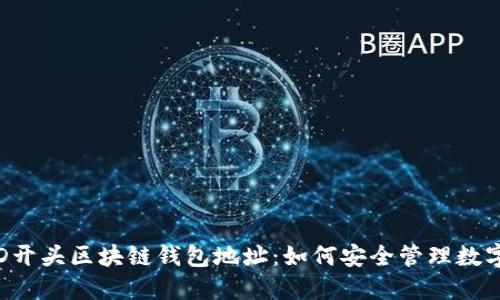探秘D开头区块链钱包地址：如何安全管理数字资产