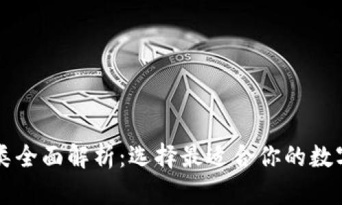 虚拟币钱包种类全面解析:选择最适合你的数字资产存储方案