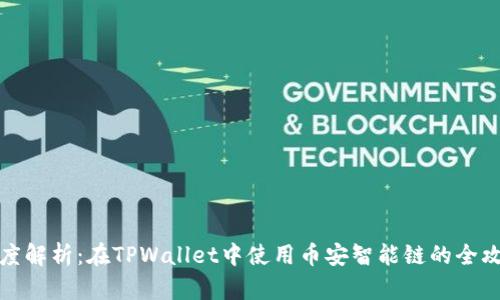 深度解析:在TPWallet中使用币安智能链的全攻略