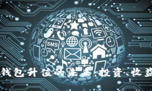 以太坊矿池钱包升值的未来：投资、收益与风险分析
