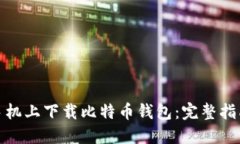 如何在苹果手机上下载比