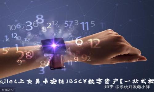 如何在TPWallet上交易币安链（BSC）数字资产？一站式视频教程指南