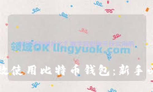 如何高效使用比特币钱包:新手必备指南