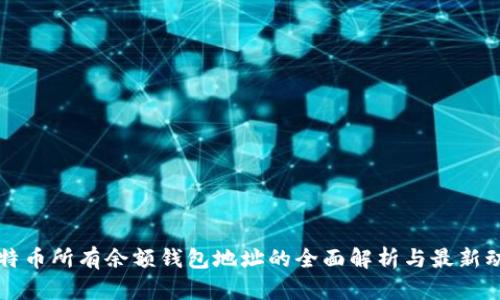 比特币所有余额钱包地址的全面解析与最新动态