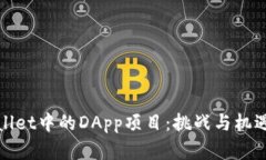 TPWallet中的DApp项目：挑战