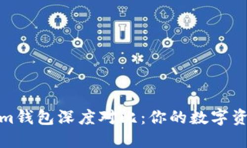 TPWallet与Token.im钱包深度对比:你的数字资产守护者选择哪个?