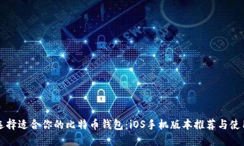 如何选择适合你的比特币钱包：iOS手机版本推荐与使用指南