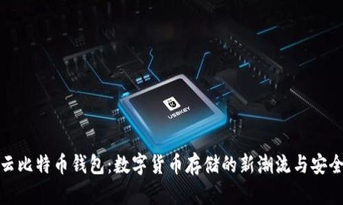 探索云比特币钱包:数字货币存储的新潮流与安全保障