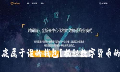 虚拟币到底属于谁的钱包？揭秘数字货币的背后真相