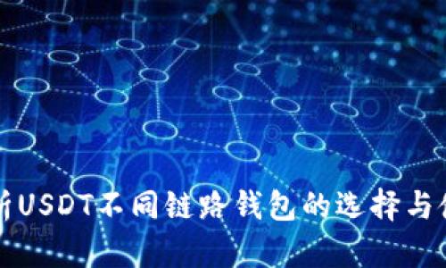 深入解析USDT不同链路钱包的选择与使用指南