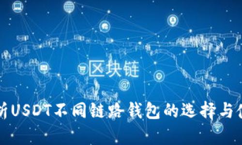 深入解析USDT不同链路钱包的选择与使用指南