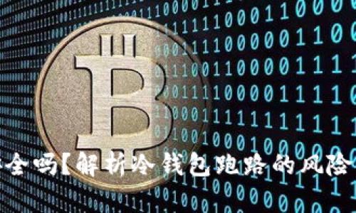 TP冷钱包安全吗？解析冷钱包跑路的风险与防范措施