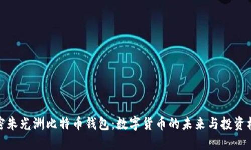 解密朱光洲比特币钱包:数字货币的未来与投资机遇