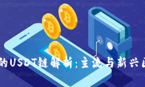 Ledger钱包支持的USDT链解析：主流与新兴区块链的全面覆盖