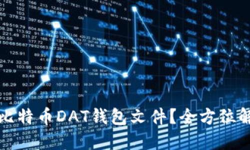 如何轻松打开比特币DAT钱包文件？全方位解读与操作指南