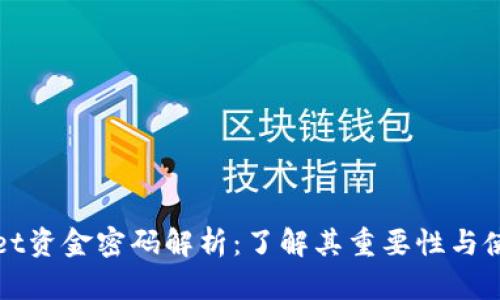 TPWallet资金密码解析：了解其重要性与使用技巧