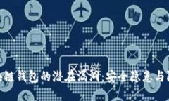 探索区块链钱包的潜在漏