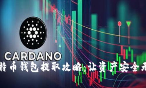 比特币钱包提取攻略:让资产安全无忧