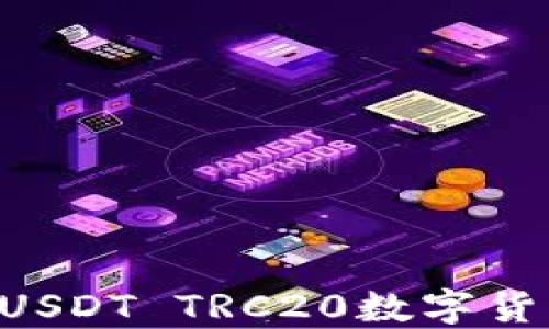 如何安全高效地使用USDT TRC20数字货币钱包:你的全面指南