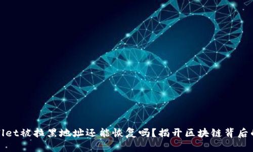 tpwallet被拉黑地址还能恢复吗？揭开区块链背后的真相