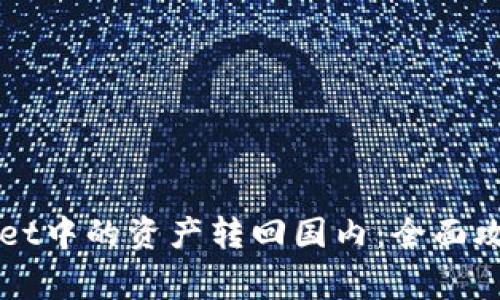 如何将TPWallet中的资产转回国内:全面攻略与注意事项