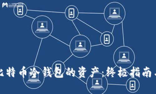 如何查看比特币冷钱包的资产:终极指南与实用技巧