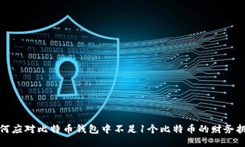 如何应对比特币钱包中不足1个比特币的财务挑战