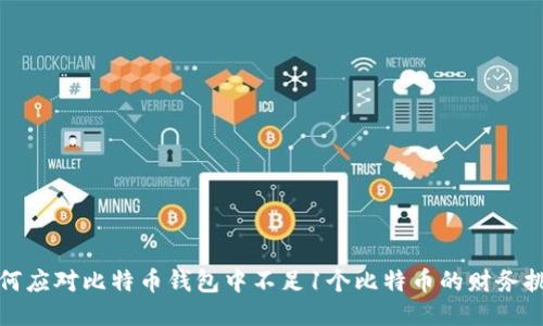 如何应对比特币钱包中不足1个比特币的财务挑战